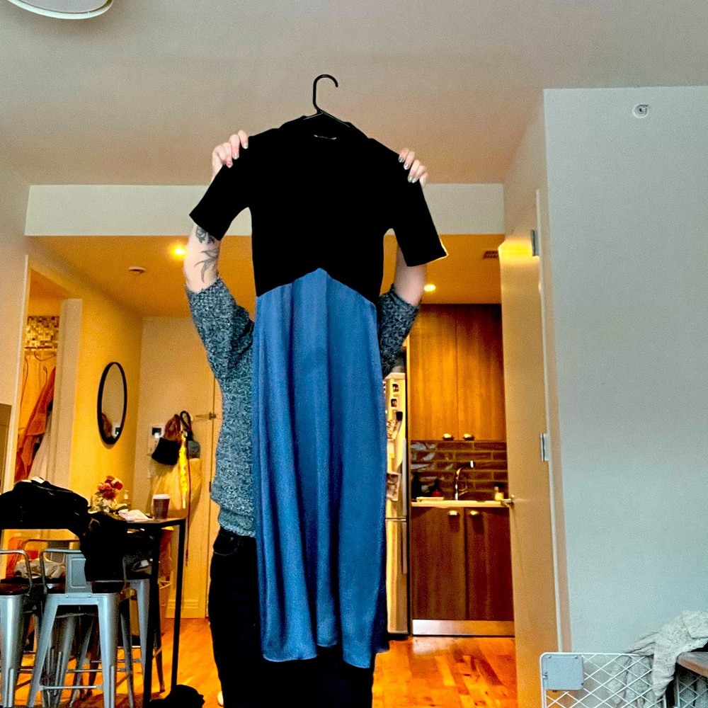 Zara Turtleneck Dress